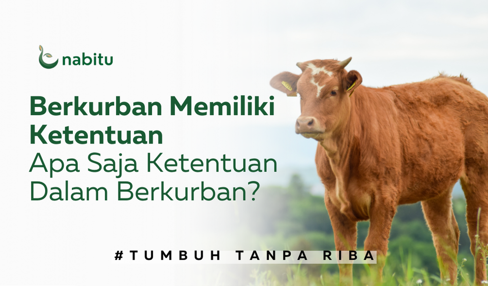 Ketentuan Dalam Ibadah Qurban Yang Wajib Diketahui Nabitu