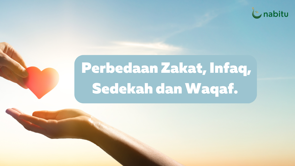 Perbedaan Zakat Infaq Sedekah Dan Waqaf Nabitu 2521