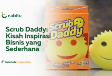 Scrub Daddy: Kisah Inspirasi Bisnis yang Sederhana