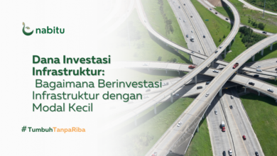 Dana Investasi Infrastruktur