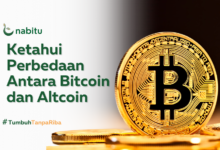 Perbedaan Antara Bitcoin dan Altcoin